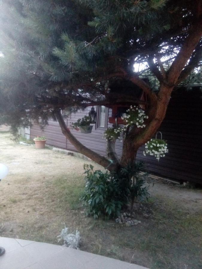 Ferienwohnung Chabrowa Perla Jarosławiec Exterior foto
